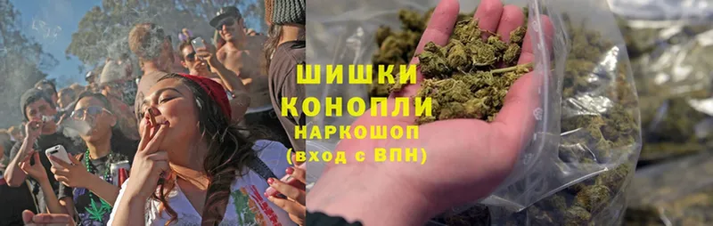 Бошки Шишки White Widow  где найти наркотики  Приволжск 